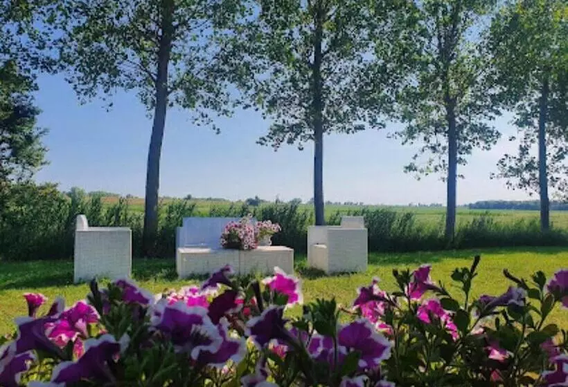 田舎風ホテル Agriturismo Ca' Pisani