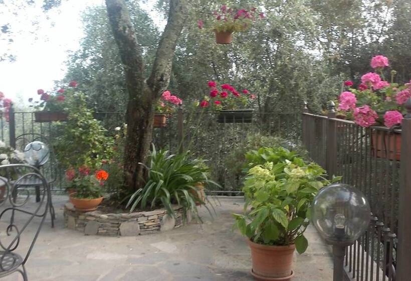 בית מלון כפרי Villa Carmelina