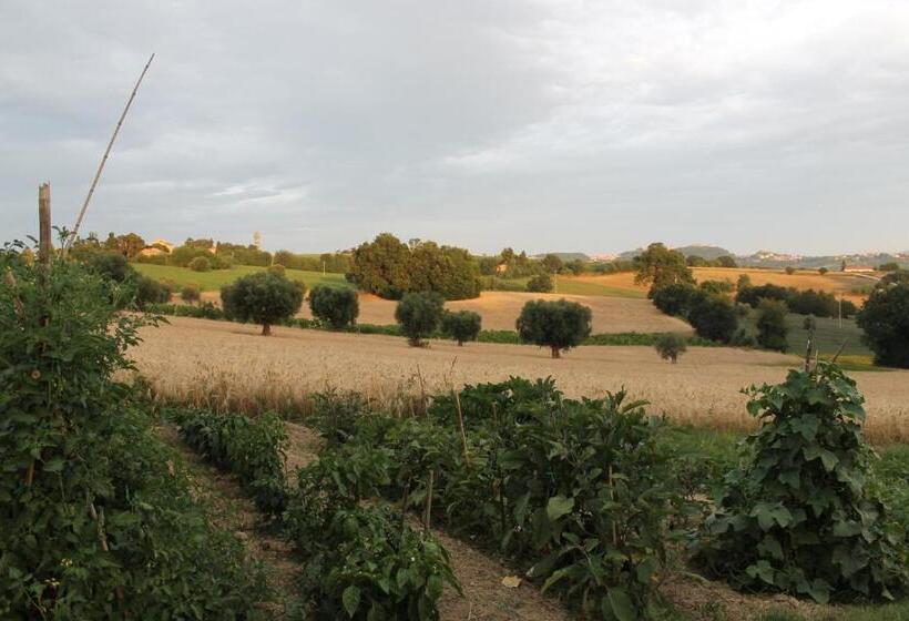 Bed and Breakfast Abbadia 14