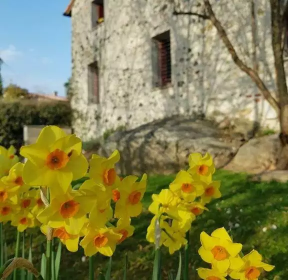 Aamiaismajoitus (B&B) Al Cantico