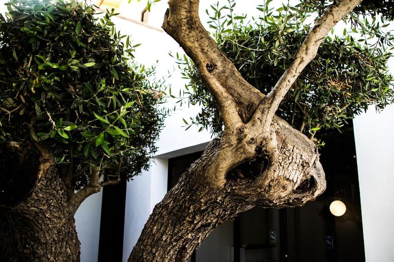 צימר Diodorus Luxury Experience