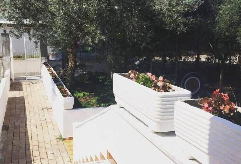 فندق فئة نجمة واحدة La Pergola Resort