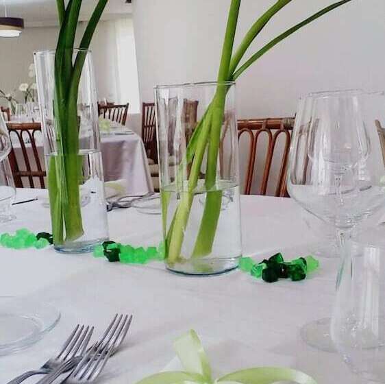 فندق فئة نجمة واحدة La Pergola Resort