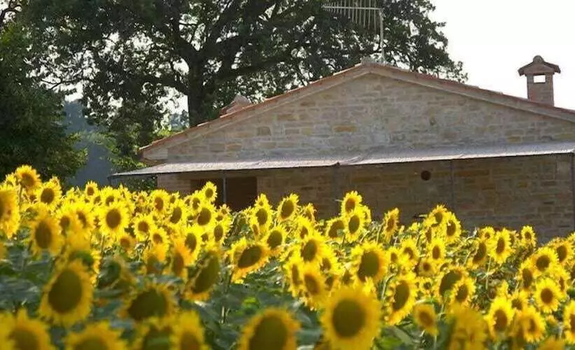 田舎風ホテル Le Querce