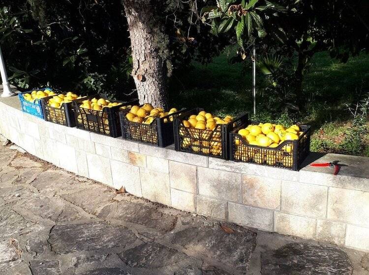 田舎風ホテル Tenuta Gli Agrumi Del Salento