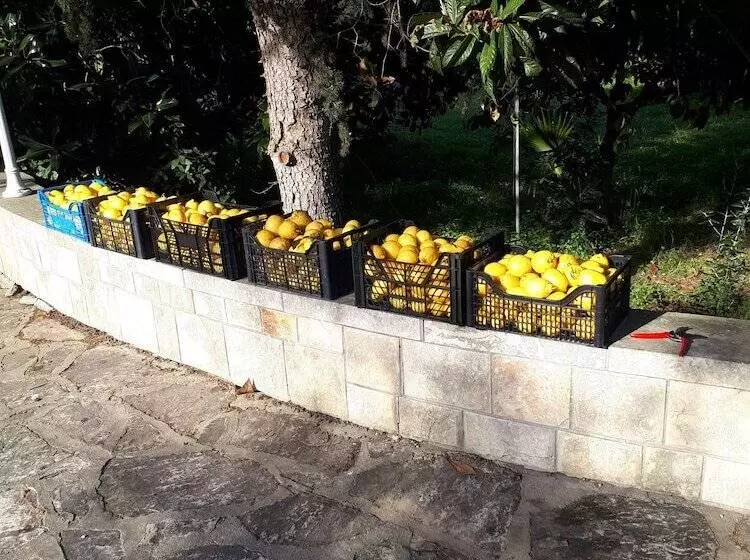 田舎風ホテル Tenuta Gli Agrumi Del Salento
