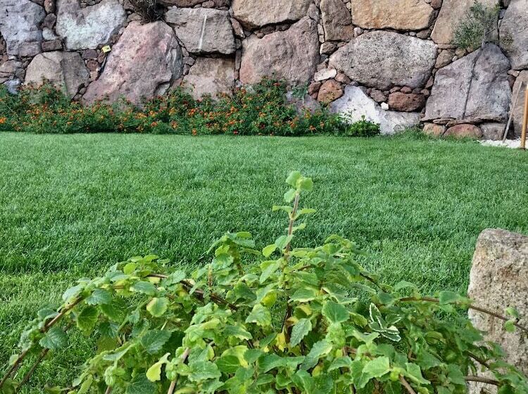Pansiyon Artemisia Sardegna