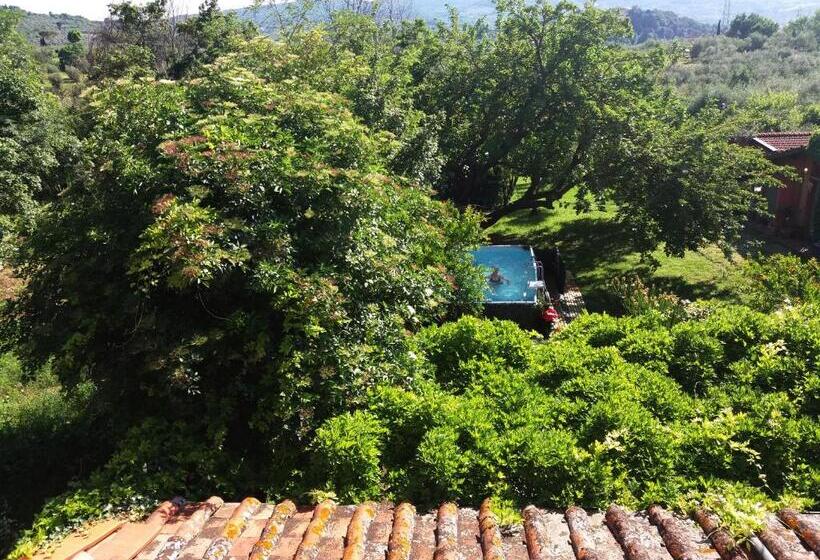 پانسیون Il Monasteraccio