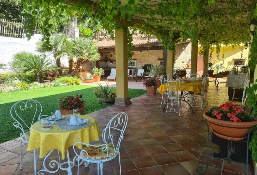 Villa Olga B&b