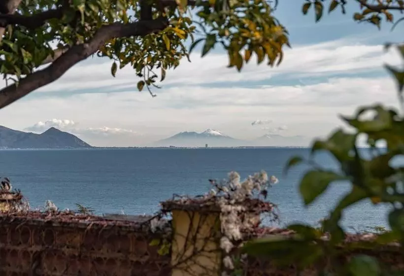 Villa Olga B&b