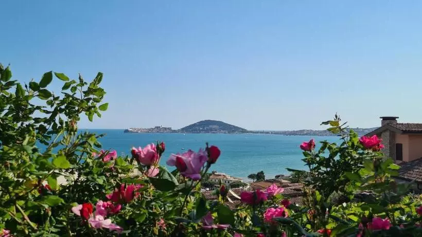 Villa Olga B&b