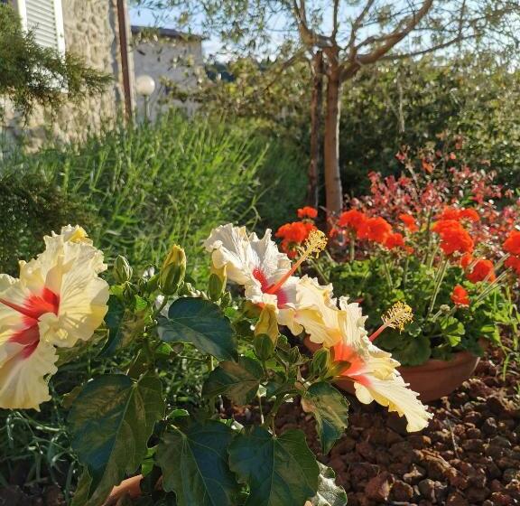 B&b Le Logge Ritrovate