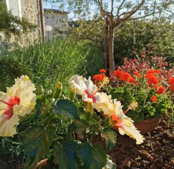 B&b Le Logge Ritrovate