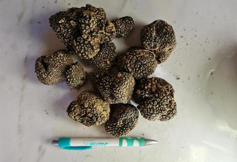 B&b Le Logge Ritrovate