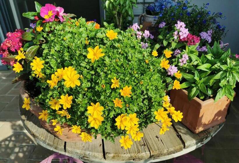 B&b Le Logge Ritrovate