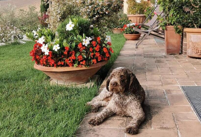 B&b Le Logge Ritrovate