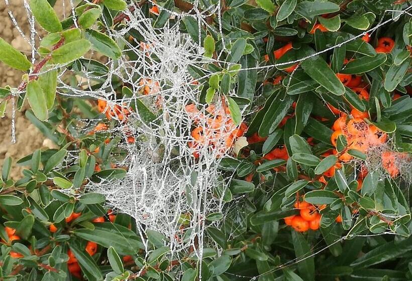 B&b Le Logge Ritrovate