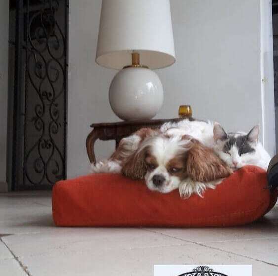 住宿加早餐  Oasi La Martina