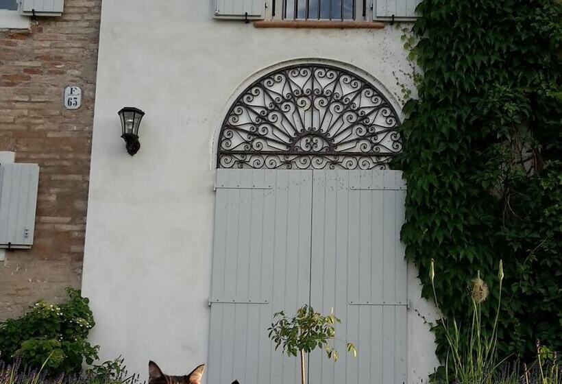 住宿加早餐  Oasi La Martina