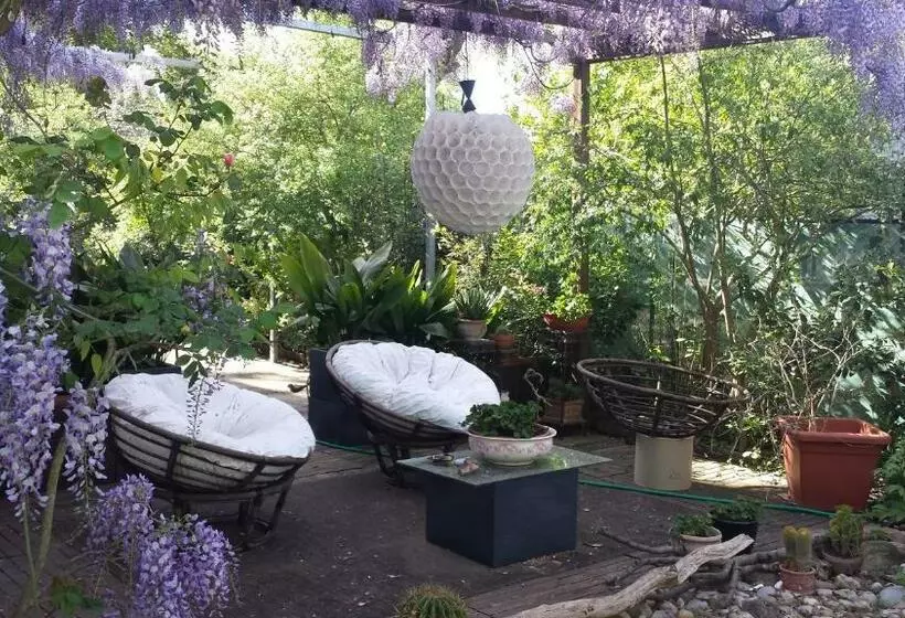 تختخواب و صبحانه Teapot House