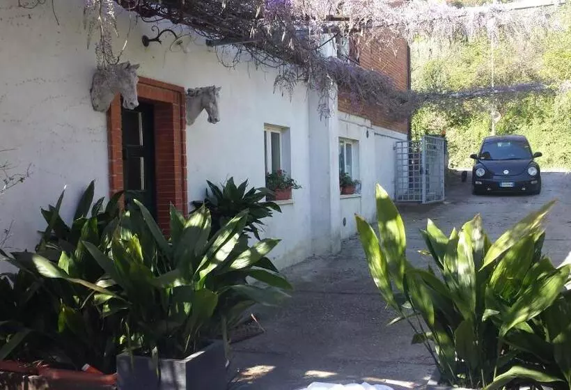 تختخواب و صبحانه Teapot House