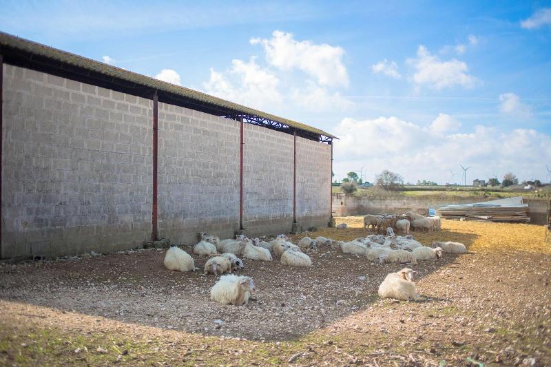 Agriturismo Solicara