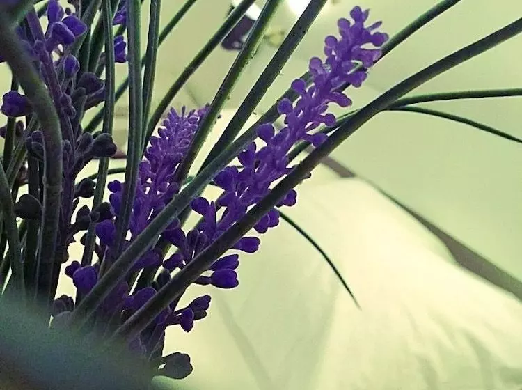 Bed and Breakfast 55 Bedandbreakfast Catania