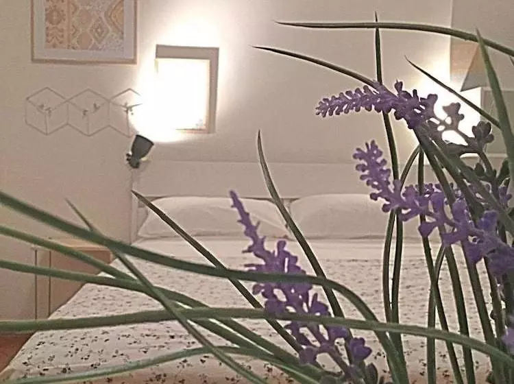 Bed and Breakfast 55 Bedandbreakfast Catania