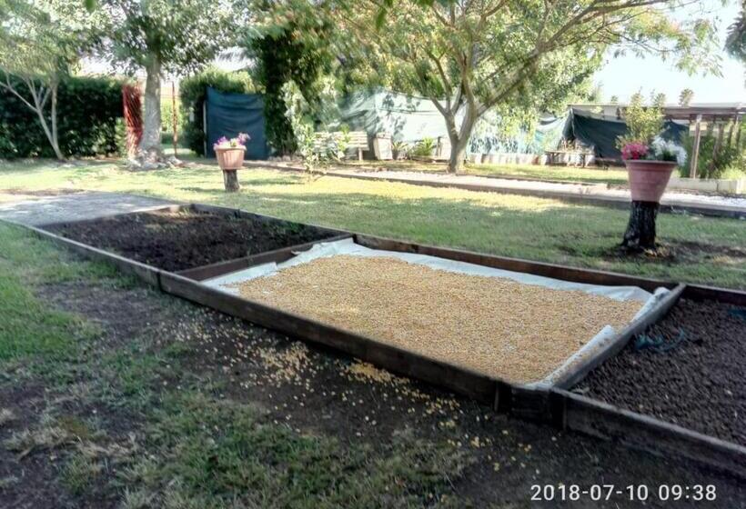 צימר Casadolcecasalatina