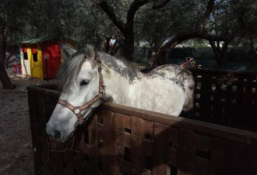 צימר Casadolcecasalatina