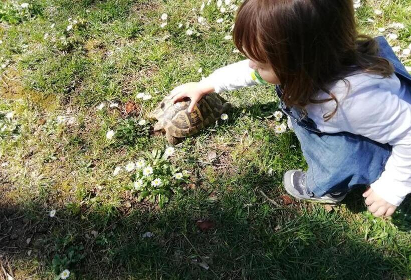 צימר Casadolcecasalatina