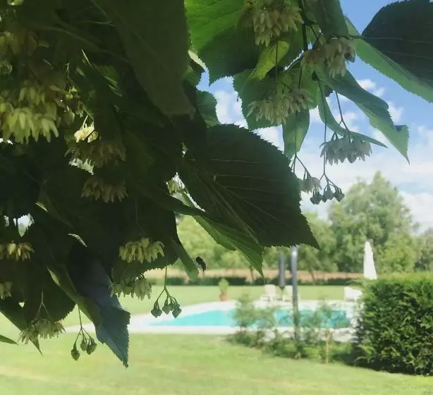 La Scuderia Charming Rooms B&b