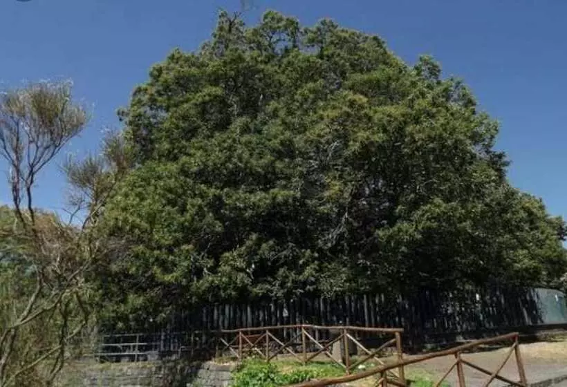 Hostelli Villa Con Giardino Vicino Al Mare