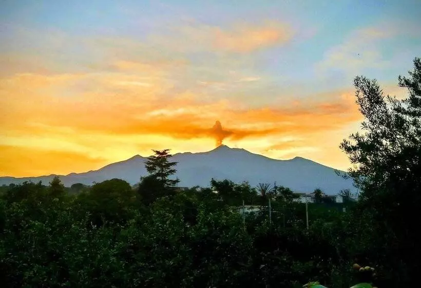 Hostelli Villa Con Giardino Vicino Al Mare