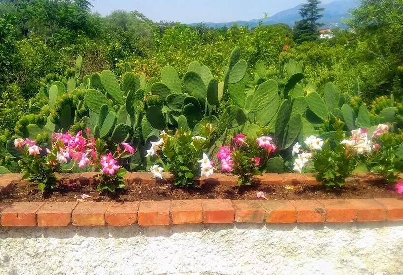 Hostelli Villa Con Giardino Vicino Al Mare