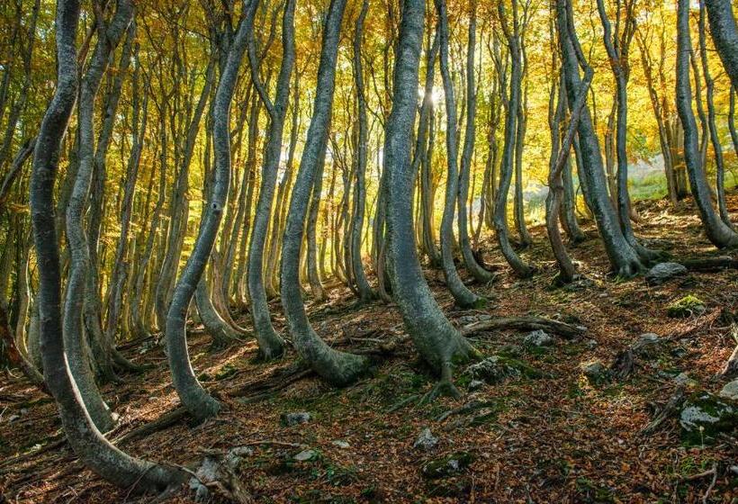 Сельский отель Locanda Della Rocca