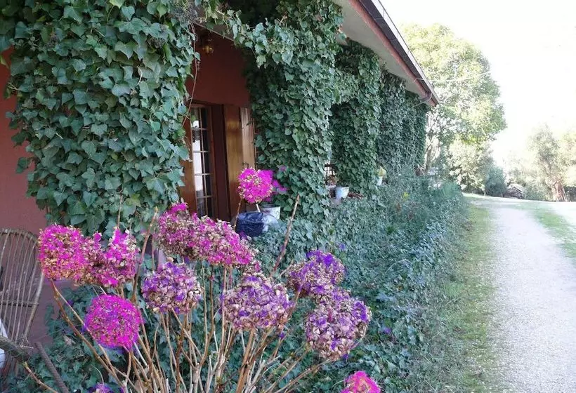 پانسیون Le Acacie Felici B&b