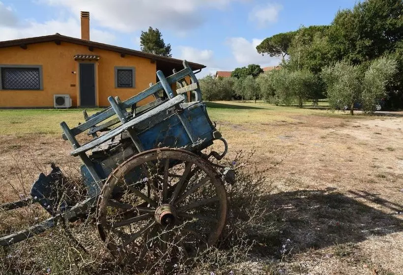 پانسیون Vigna Di Valle