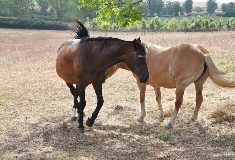 پانسیون Vigna Di Valle