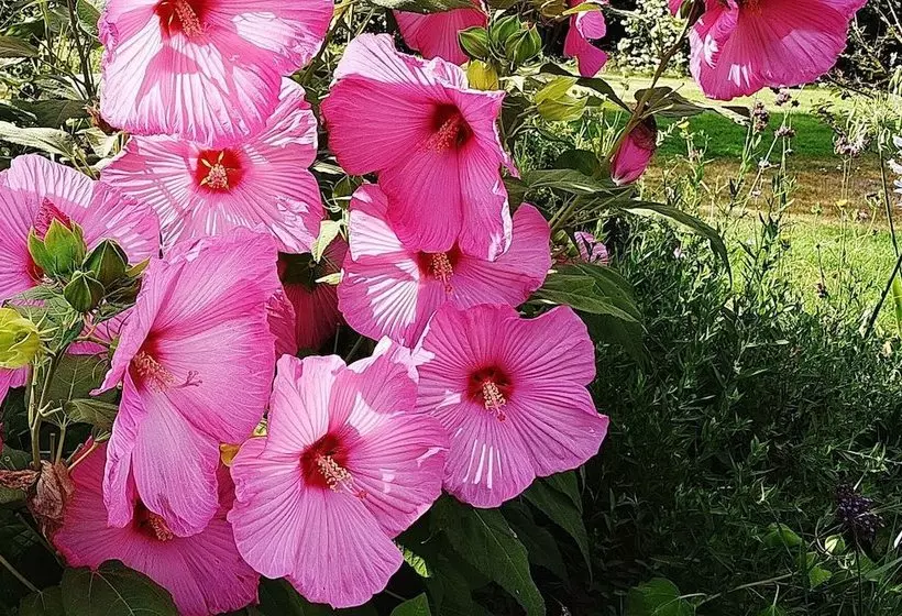 پانسیون Vigna Di Valle