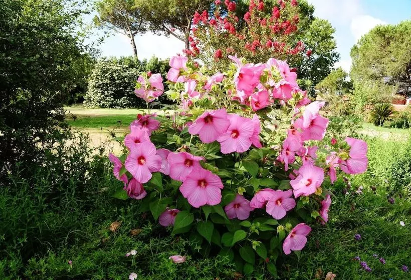 پانسیون Vigna Di Valle