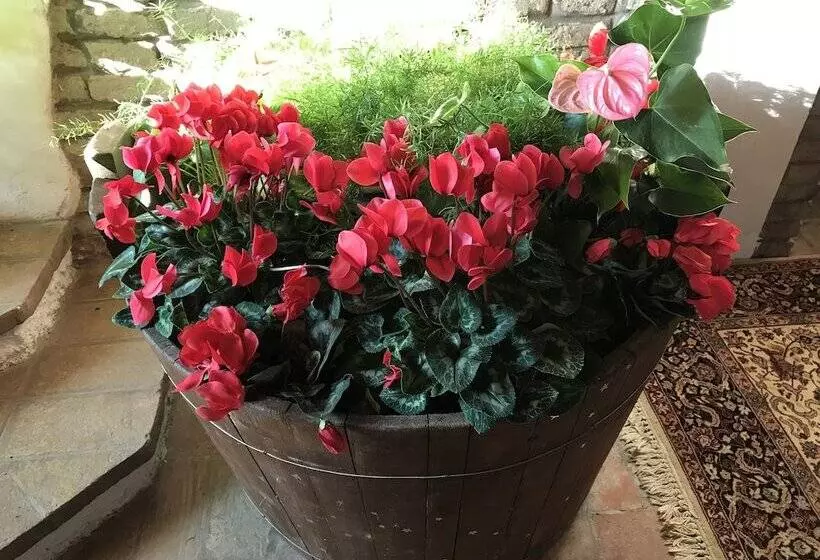 Majatalo Villa Camilla