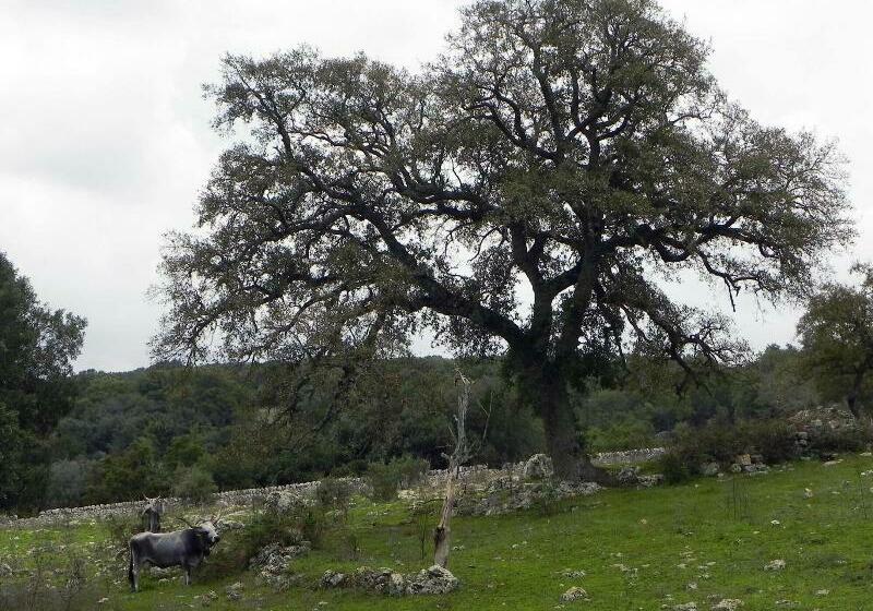 Agriturismo Beethoven