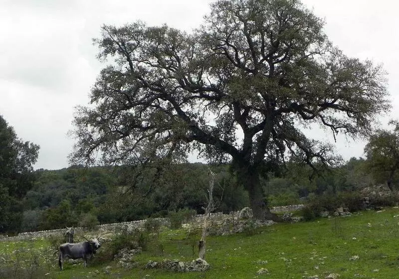 Agriturismo Beethoven