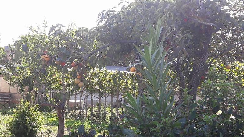 Agriturismo Beethoven