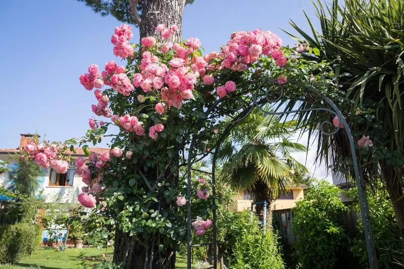 B&b Due Passi Dal Mare