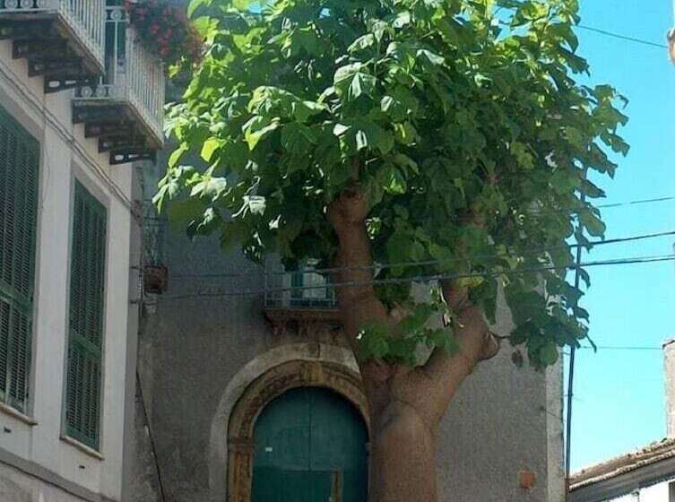 펜션 La Casetta Di Renato