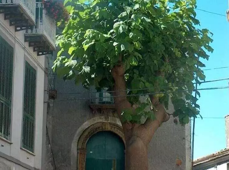 Majatalo La Casetta Di Renato