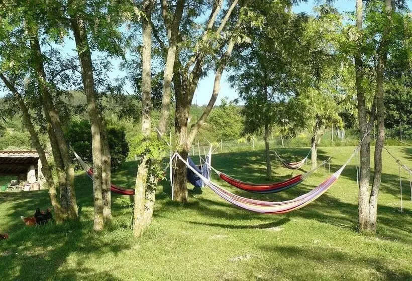 田舎風ホテル Agriturismo Podere Il Palagio