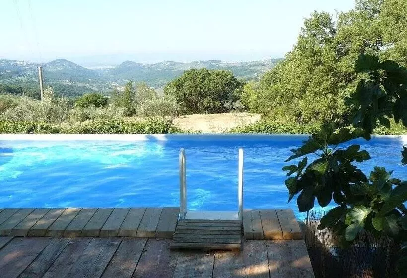 田舎風ホテル Agriturismo Podere Il Palagio
